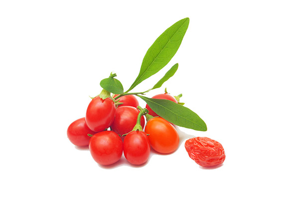 GOJI BERRY