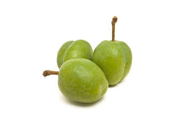 KAKADU PLUM