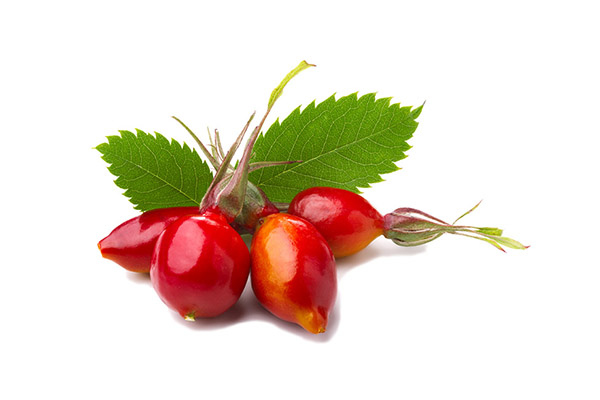 ROSEHIP OIL