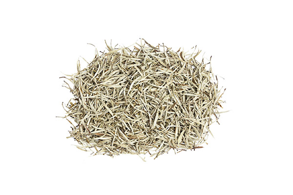 WHITE TEA EXTRACT